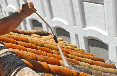 Nettoyage de toitures - Ambérieux-en-Dombes